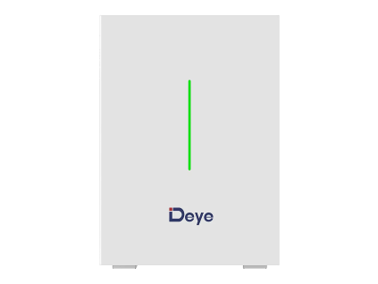 Deye RW-F10.2 front view