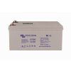 Victron AGM 12V 220Ah