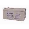 Victron AGM 12V 220Ah