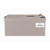 Victron AGM 12V 220Ah