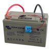 Victron Smart Battery Sense